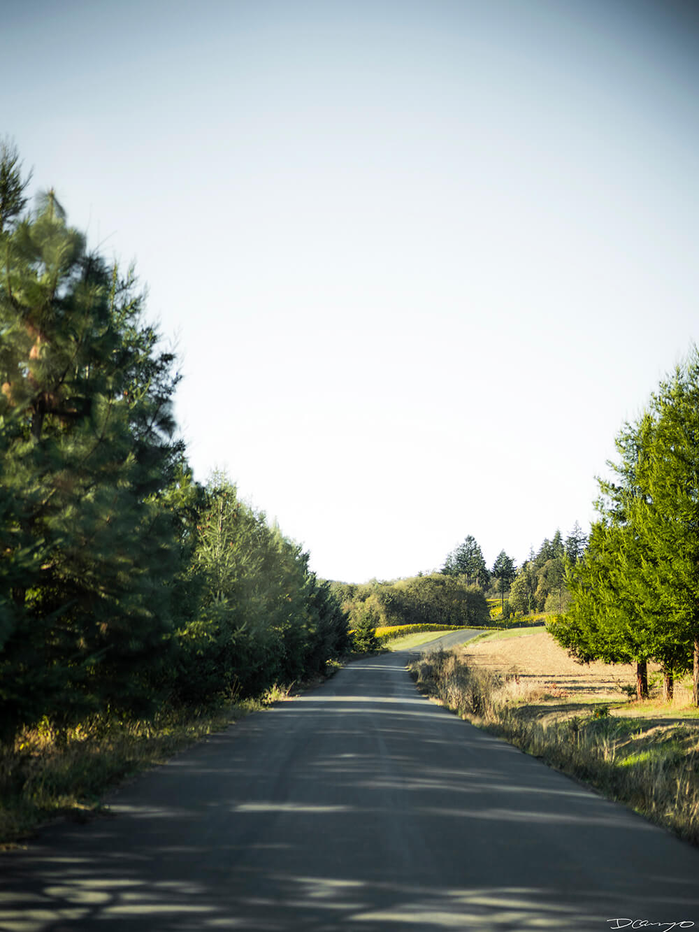 Photos with Communique Wines in McMinville, Oregon, in the Fall of 2020.